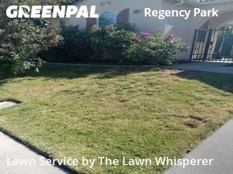 Grass Cut nearby Sacramento, CA, 