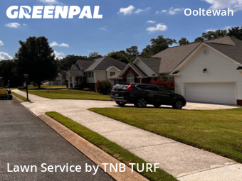 Yard Cutting nearby Ooltewah, TN, 