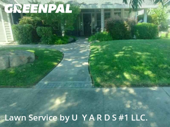 Work completed by yard-maintenance-professionals-in-Turlock-CA