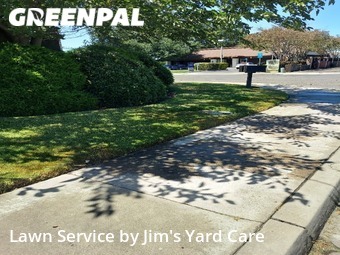 Lawn Mow nearby Turlock, CA, 