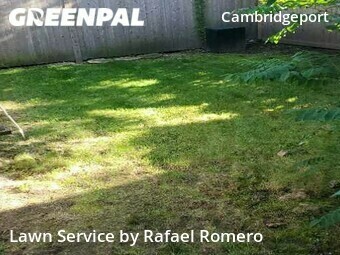 Yard Cutting nearby Cambridge, MA, 