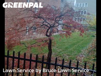 Grass Cutting nearby Chicago, IL, 