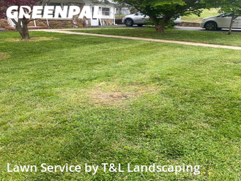 Lawn Care nearby Lynchburg, VA, 