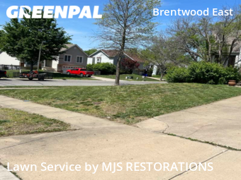 Lawn Cutting nearby Lenexa, MO, 