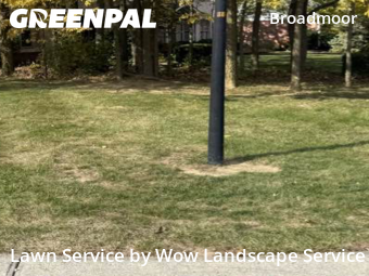 Grass Cutting nearby Indianapolis, IN, 