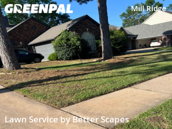 Lawn Cutting nearby Houston, TX, 