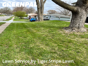 Lawn Service nearby La Vista, NE, 