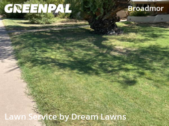 Weed Trimming in Tempe, 85282, Lawn Cutting by Dream Lawns, work completed in Oct , 2025
