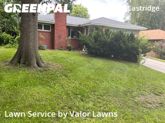 Lawn Mow nearby Lincoln, NE, 