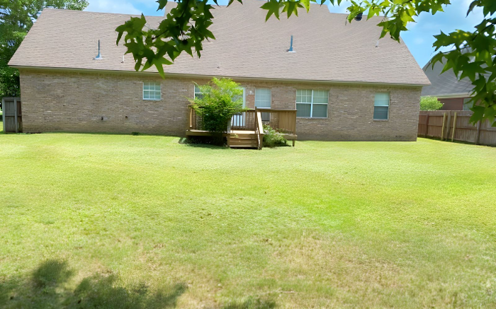Work Image 1