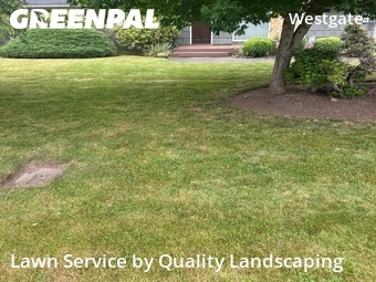 Lawn Mow nearby Edmonds, WA, 