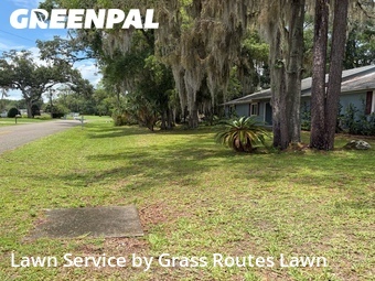 Grass Cut nearby Ocala, FL, 