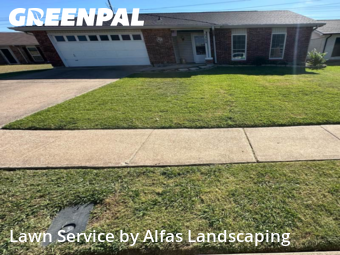 Lawn Carein The Colony,75056,Lawn Care by Alfas Landscaping, work completed in Nov , 2025