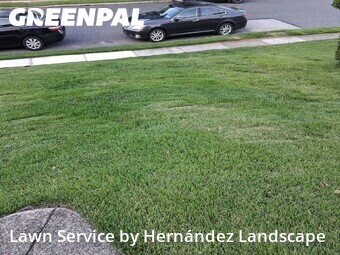 Grass Cutting nearby Springfield Township, PA, 