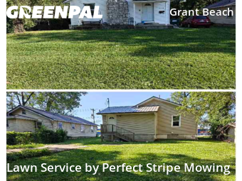 Lawn Mow nearby Springfield , MO, 
