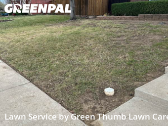 Lawn Care Servicein Lewisville,75077,Lawn Mow by Green Thumb Lawn Care, work completed in Feb , 2026