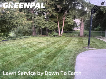 Lawn Care Service nearby Saginaw, MI, 