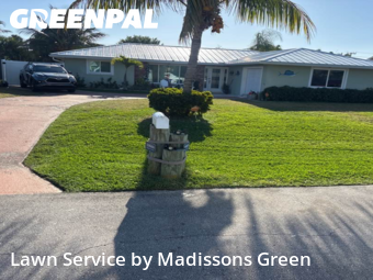 Weed Trimming in Palm Beach Gardens, 33410, Yard Work by Madissons Green, work completed in Nov , 2025