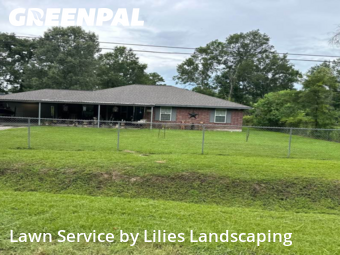 Lawn Care Servicein Porter,77365,Lawn Mowing Service by Lilies Landscaping, work completed in Dec , 2025