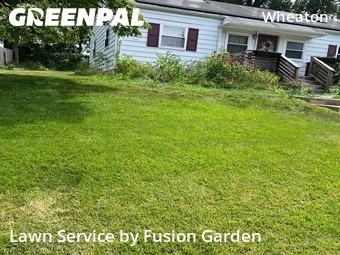 Lawn Service nearby Silver Spring, MD, 