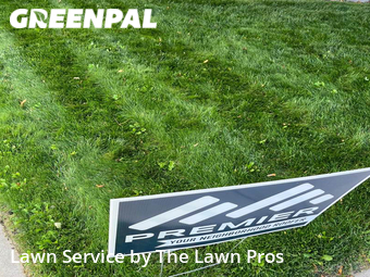 Grass Cutting nearby Longmont, CO, 