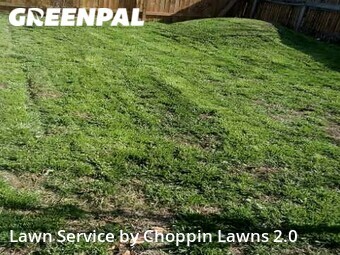 Grass Cut nearby Manor, TX, 