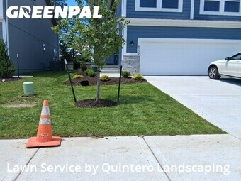 Lawn Mowingin Blue Springs,64064,Yard Cutting by Quintero Landscaping, work completed in Jun , 2026