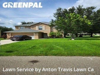 Lawn Mow nearby Port Charlotte, FL, 