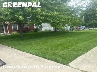 Lawn Care nearby Mason, OH, 