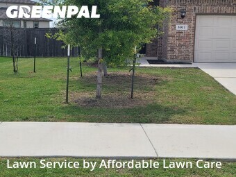 Grass Cut nearby Marion, TX, 