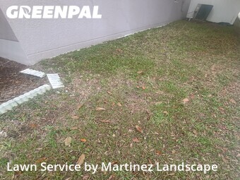 Lawn Cut nearby Windermere, FL, 