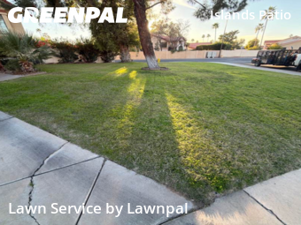 Affordable Landscaping In Gilbert,85233,Landscaping Cleanup by Lawnpal, work completed in Jan , 2026
