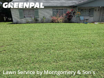 Lawn Mowing nearby Lakeland, FL, 