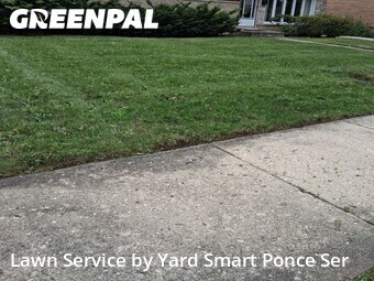 Grass Cut nearby Lombard, IL, 