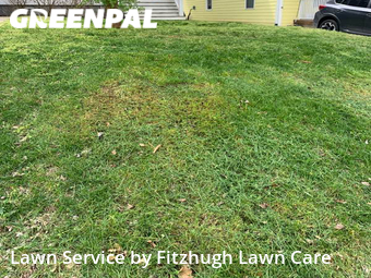 Grass Cut nearby Nashville, TN, 