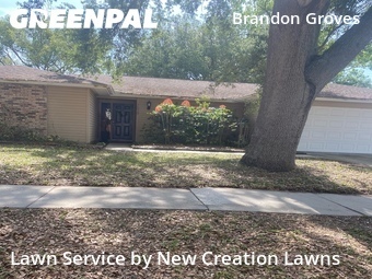 Grass Cut nearby Seffner, FL, 