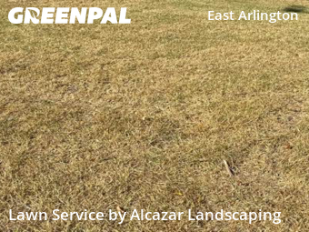 Lawn Mow nearby Arlington, TX, 