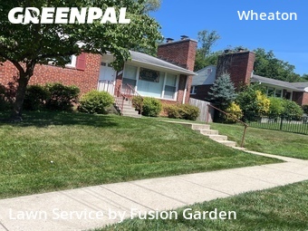 Lawn Maintenance nearby Silver Spring, MD, 