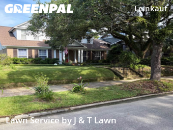 Lawn Cut nearby Mobile, AL, 