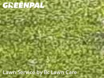 Lawn Care Service nearby Wendell, NC, 