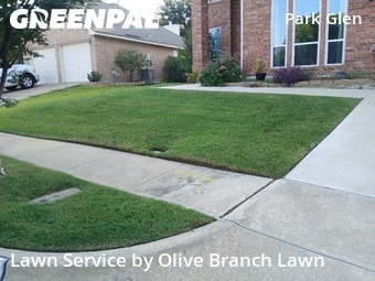 Lawn Servicein Fort Worth,76137,Lawn Cut by Olive Branch Lawn, work completed in Jul , 2026