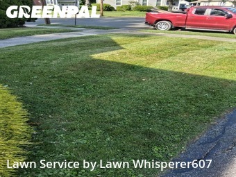 Lawn mowed in Binghamton, 13905