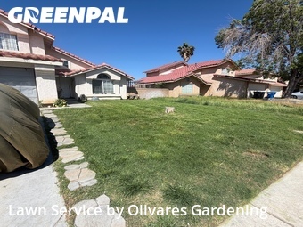 Lawn Cut nearby Lancaster, CA, 