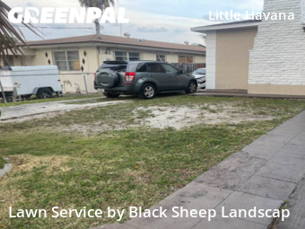 Grass Cutting nearby Miami, FL, 