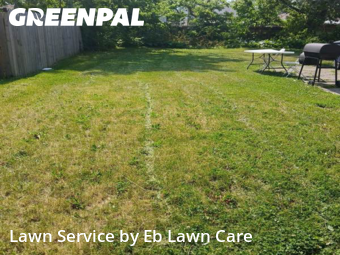 Lawn Maintenance in Maywood, 60153, Weed Trimming by Eb Lawn Care , work completed in Oct , 2025
