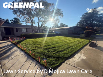 Landscapers In Elk Grove,95624,Landscaping Installation by D Mojica Lawn Care, work completed in Nov , 2025