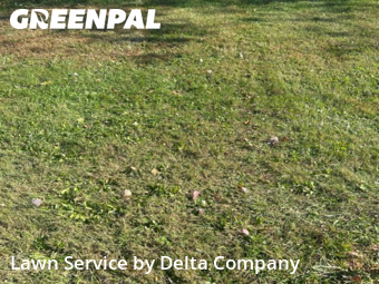 Lawn Care in Bowling Green, 42104, Yard Services by Delta Company , work completed in Nov , 2025