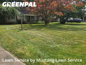 Lawn Maintenance nearby Youngstown, OH, 