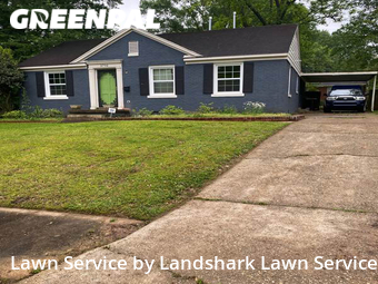 Lawn Cutting nearby Memphis, MS, 