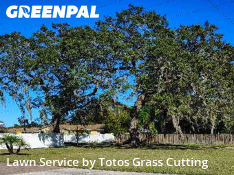 Grass Cuttingin Ocoee,34761,Yard Mowing by Totos Grass Cutting, work completed in Dec , 2025